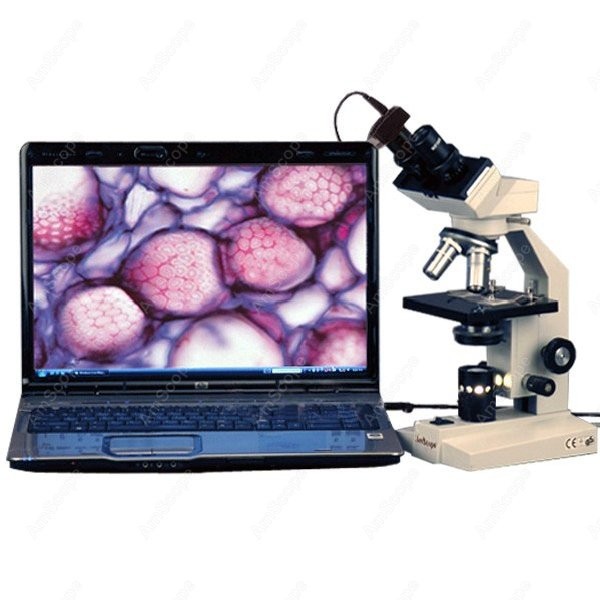 Amscope Microscope Compound 40X-1000X - AmScope B100 Serie Biologisches Binokular-Kompoundmikroskop 40X-1000X+