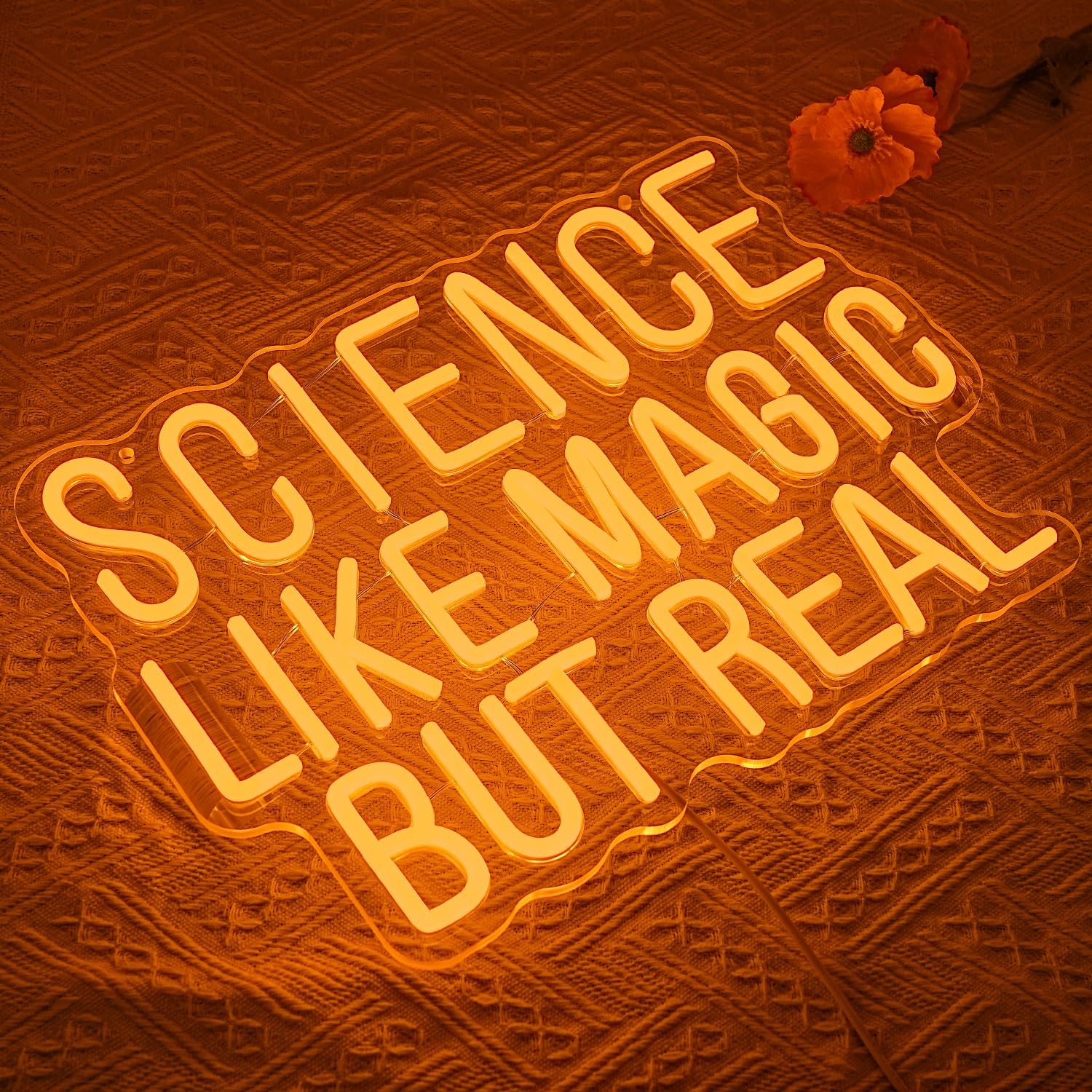 Wissenschaft wie Magie, aber e – Science Hobbyist Bewertung und Preis