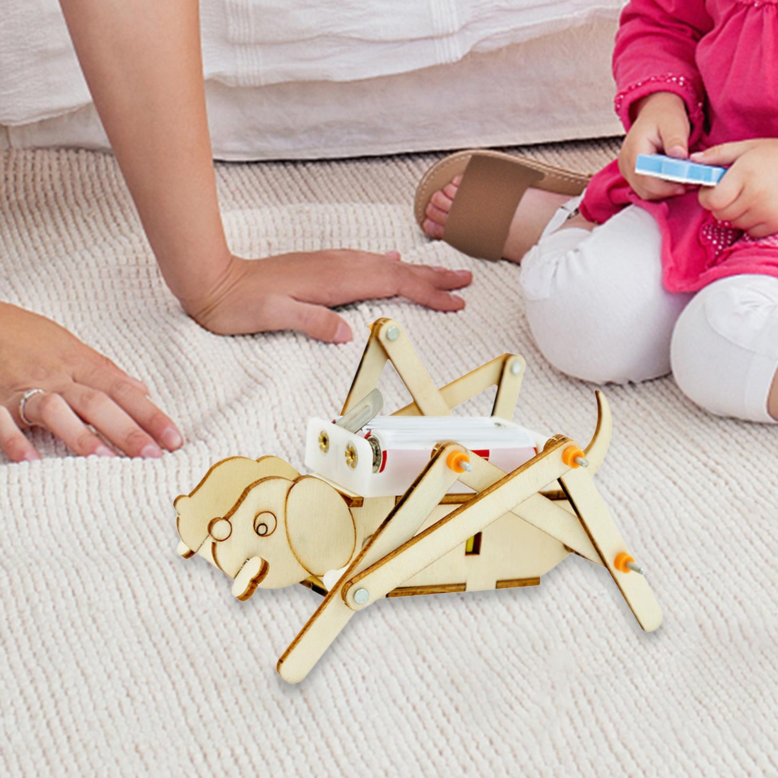 DIY Holzmodellbausatz Wissensc – Science Project Toys Making Bewertung und Preis