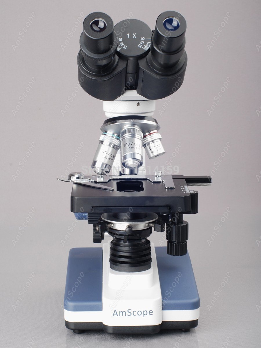 AmScope Studenten- & Profi-LED – Amscope Microscope Compound 40X-1000X Bewertung und Preis