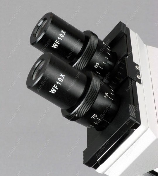 AmScope B100 Serie Biologische – Amscope Microscope Compound 40X-1000X Bewertung und Preis