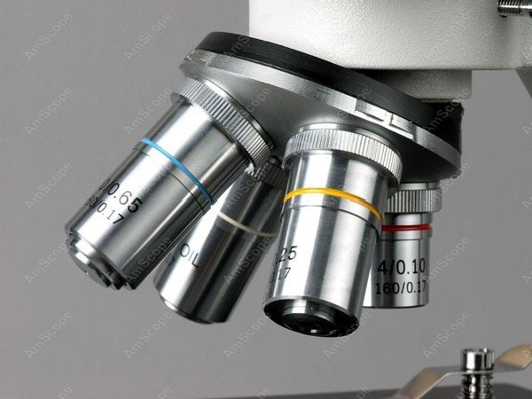 AmScope B100 Serie Biologische – Amscope Microscope Compound 40X-1000X Bewertung und Preis